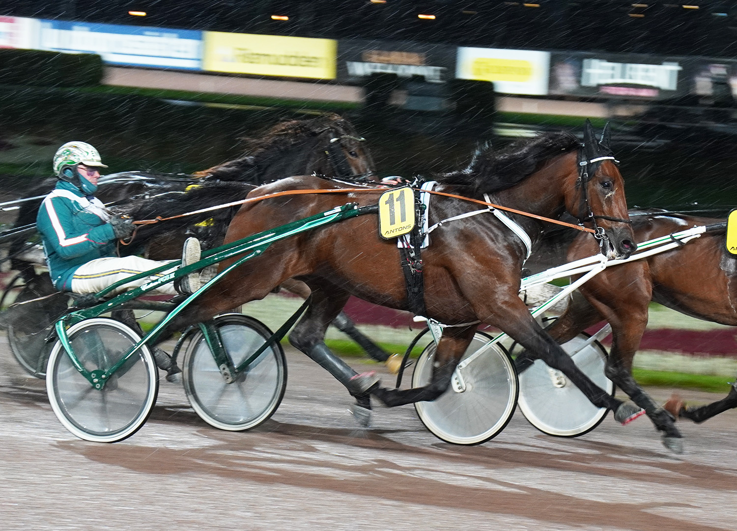 Hell of a Guy 251112-1